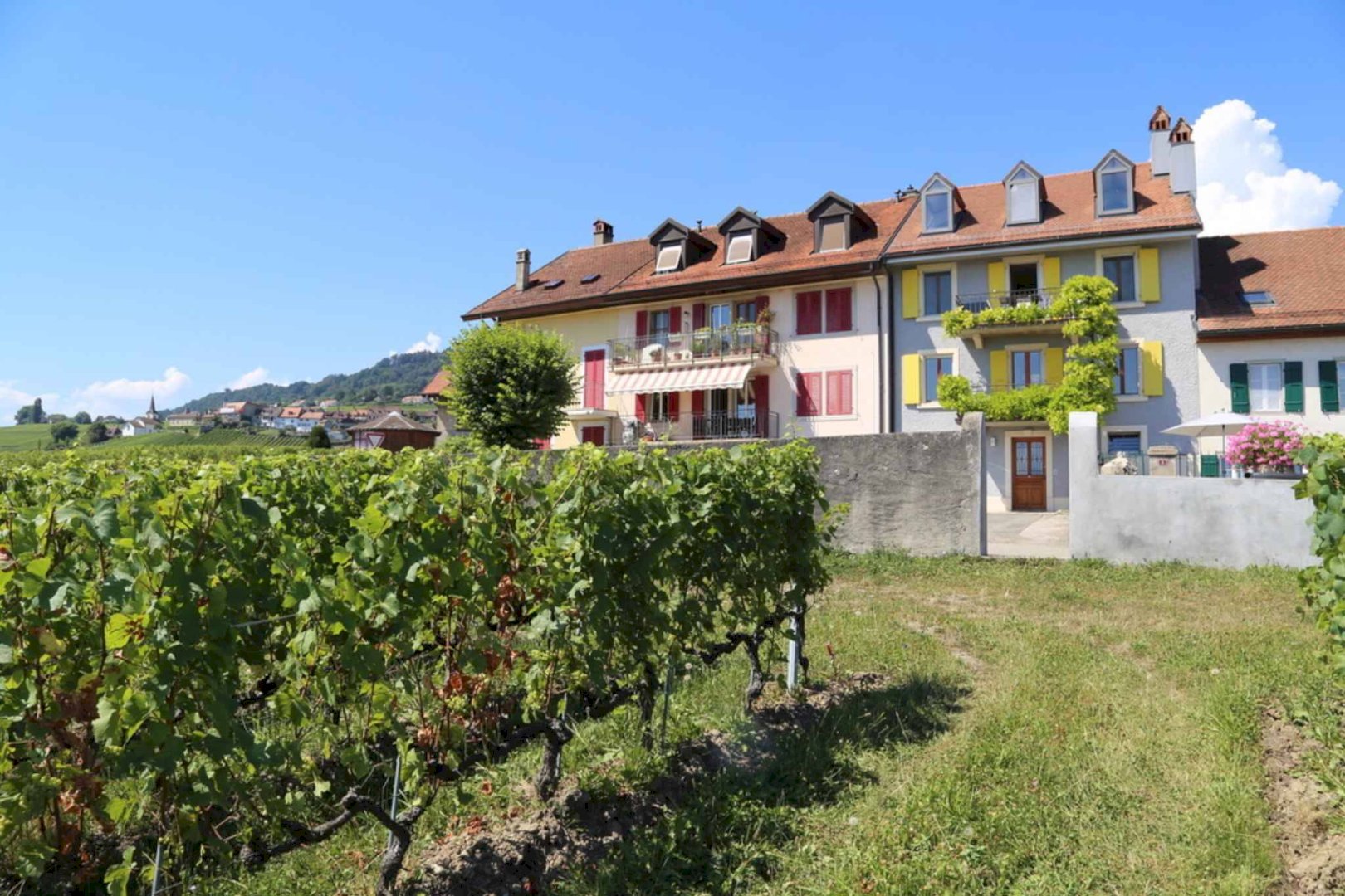 POUR INVESTISSEUR
Appartement duplex au cœur des vignes avec vue sur le Lac & Alpes