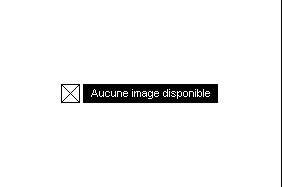 Bel appartement de 1.5 pièces avec grand balcon dans immeuble récent