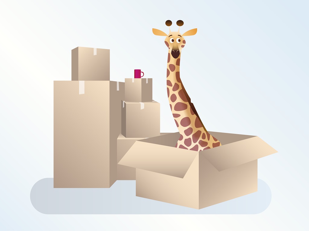 Cave à louer à la Grand-Rue à Orbe