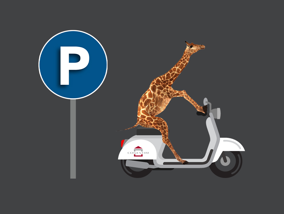 Place de parc moto n°2