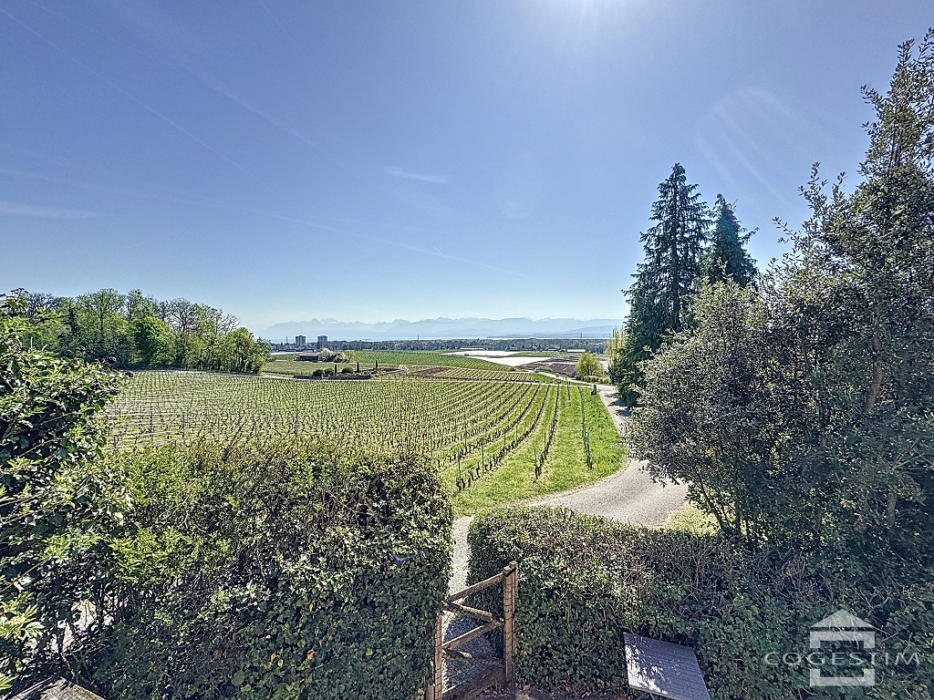 Charmant maison à côté du Château de Coinsins