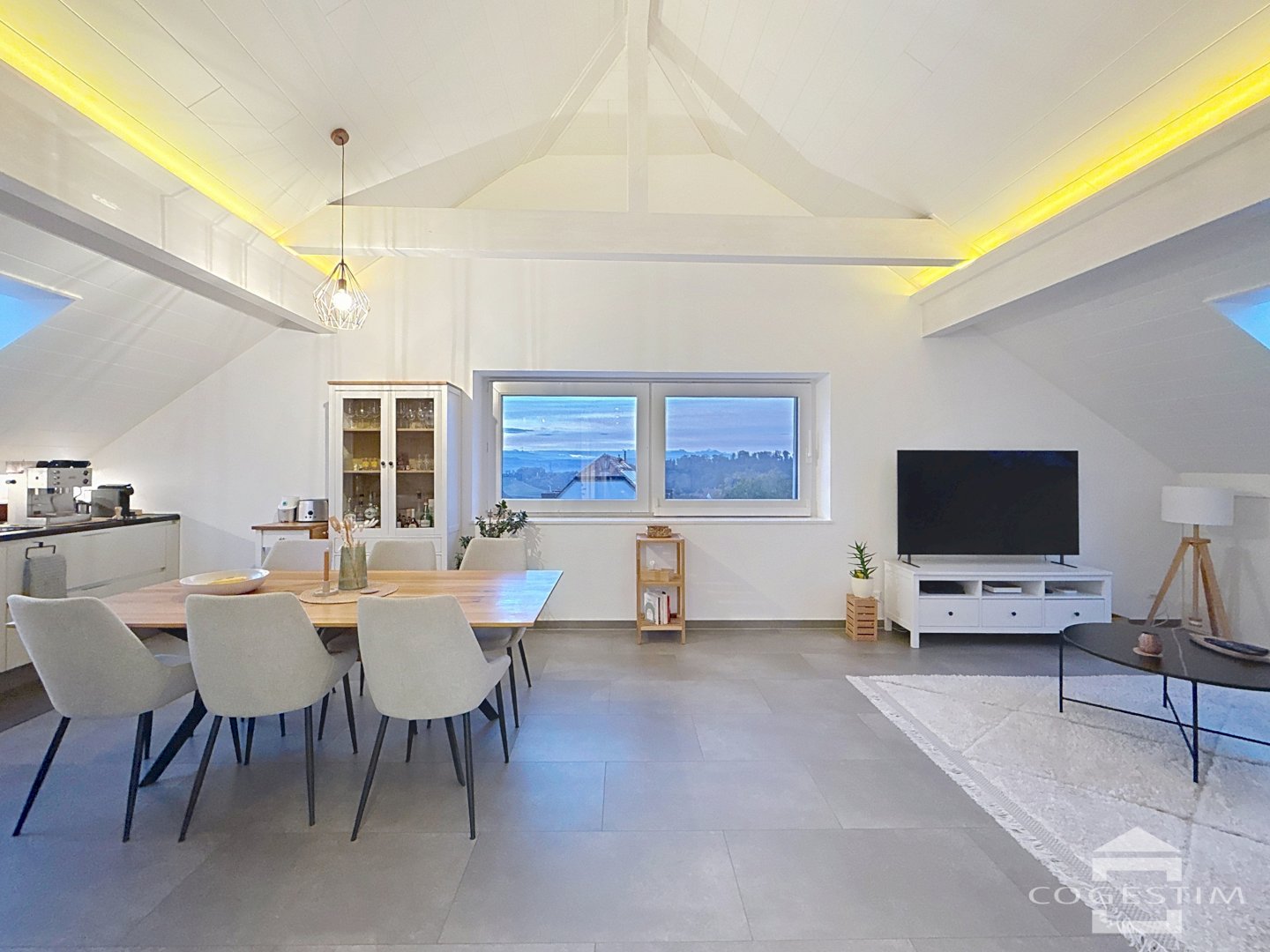 Magnifique logement de 4.5 pièces lumineux et de standing